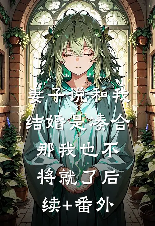 妻子说和我结婚是凑合，那我也不将就了后续+番外