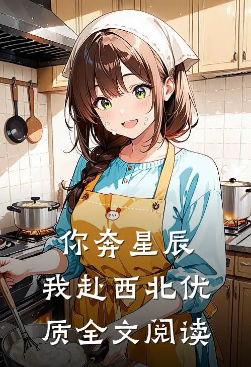 你奔星辰，我赴西北优质全文阅读