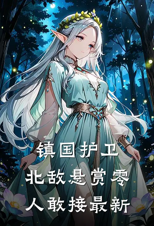 镇国护卫，北敌悬赏零人敢接最新