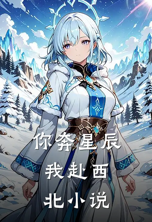 你奔星辰，我赴西北小说