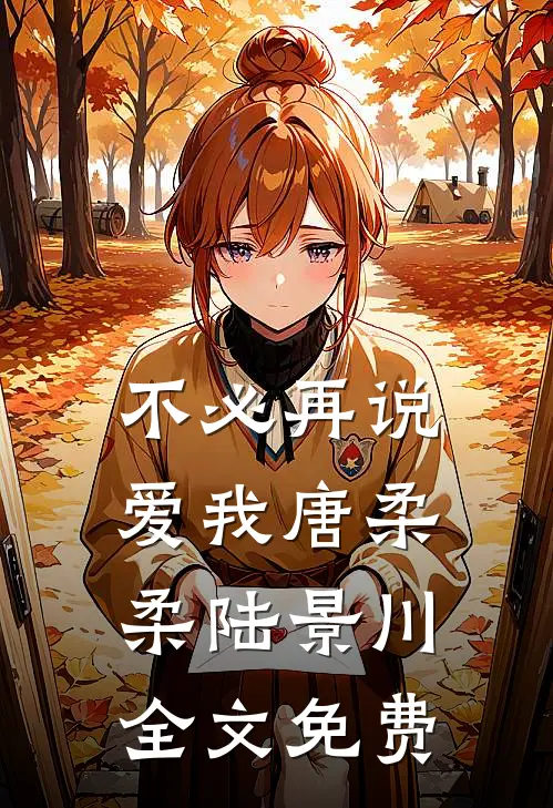 不必再说爱我唐柔柔陆景川全文免费