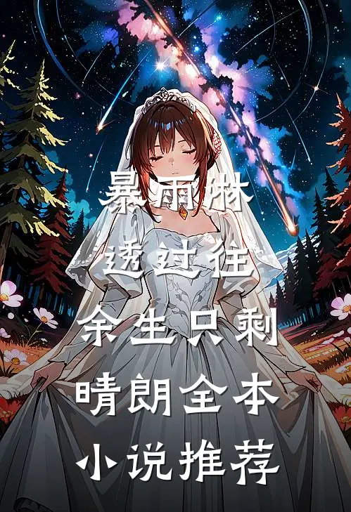 暴雨淋透过往，余生只剩晴朗全本小说推荐