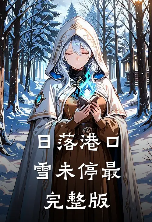 日落港口雪未停最完整版