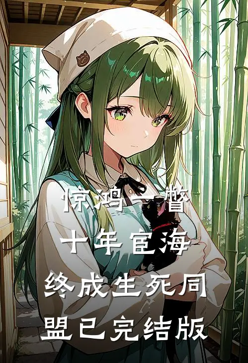 惊鸿一瞥：十年宦海，终成生死同盟已完结版