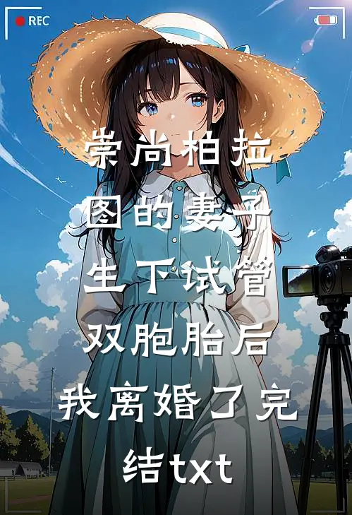 崇尚柏拉图的妻子生下试管双胞胎后，我离婚了完结txt