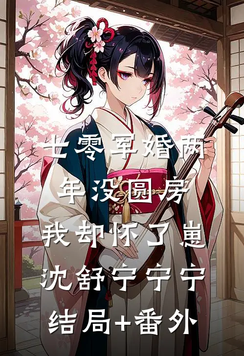 七零军婚两年没圆房，我却怀了崽沈舒宁宁宁结局+番外