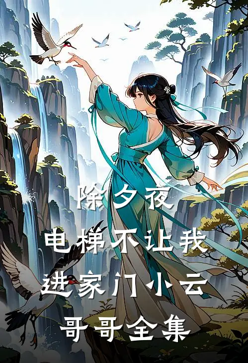 除夕夜，电梯不让我进家门小云哥哥全集
