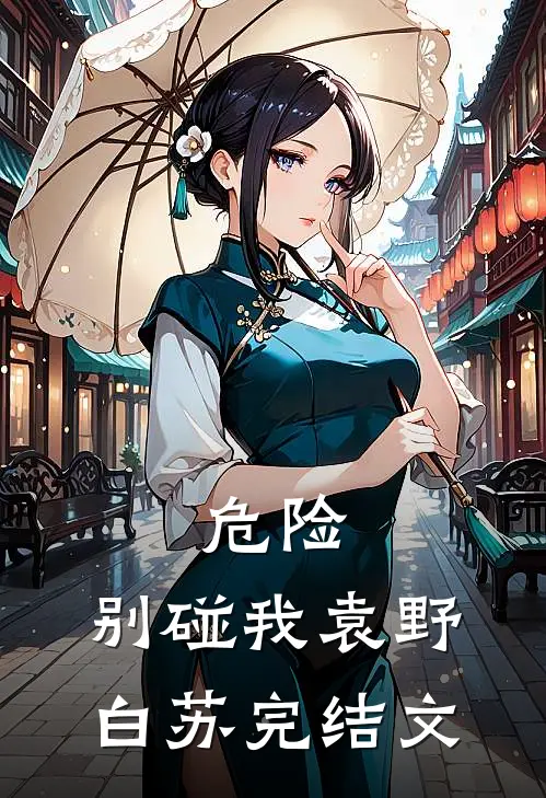 危险，别碰我袁野白苏完结文