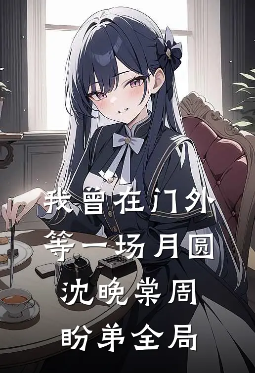 我曾在门外等一场月圆沈晚棠周盼弟全局