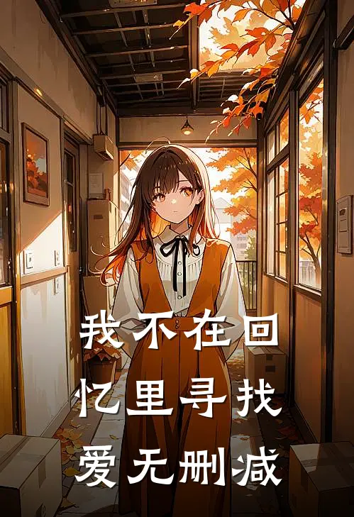 我不在回忆里寻找爱无删减