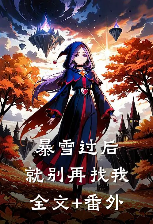 暴雪过后，就别再找我全文+番外
