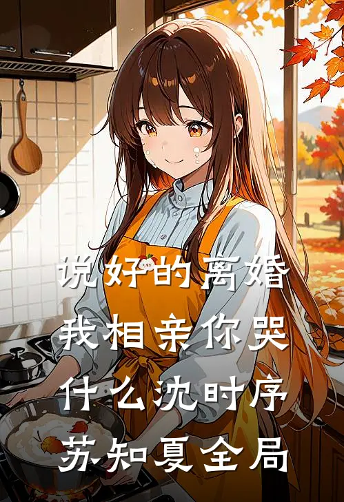 说好的离婚，我相亲你哭什么沈时序苏知夏全局