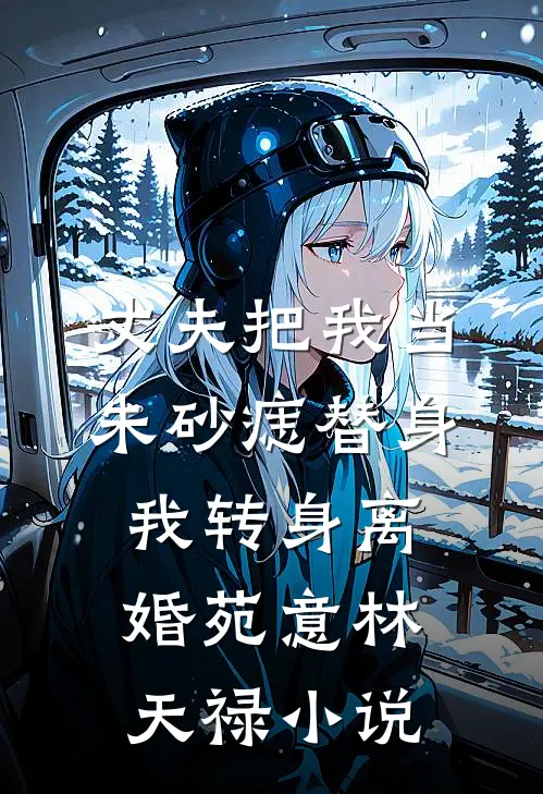 丈夫把我当朱砂痣替身，我转身离婚苑意林天禄小说
