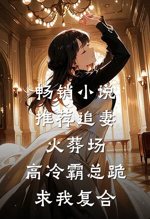 畅销小说推荐追妻火葬场：高冷霸总跪求我复合
