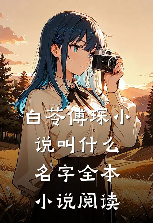 白苓傅琛小说叫什么名字全本小说阅读