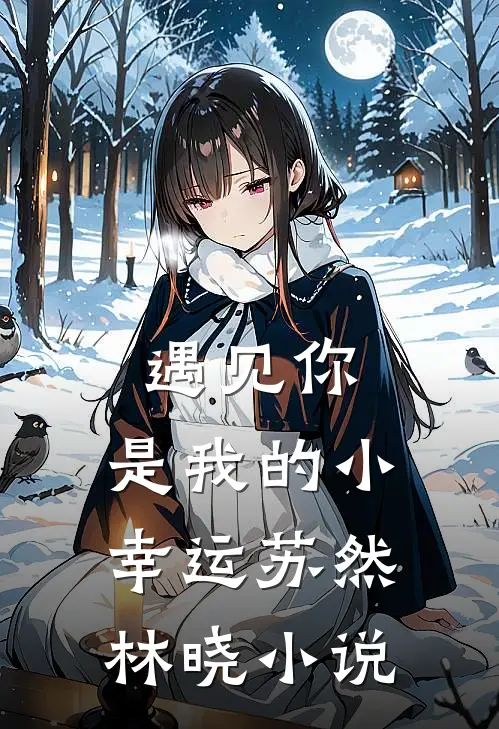 遇见你,是我的小幸运苏然林晓免费阅读