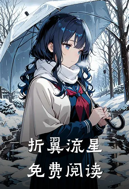 折翼流星免费阅读