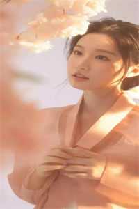 折梅寄远未逢春无错版