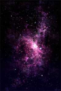 寒冬不见春满枝番外