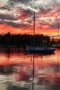 他曾与星光诉爱意阅读