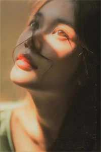 春已去，海棠将晚短篇小说阅读