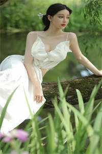 未寄出的青鸟诀别书全章阅读