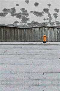 爸妈把我抵债后，我成了花臂大哥的法律顾问最新热门小说