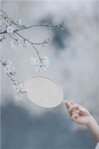 曾见月满江未眠火爆小说