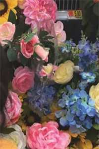 浮生未歇，半世寄清愁前文+番外