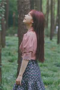 情深似雾又似风完本