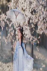 从此山河不逢君最新章节列表