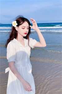 未寄出的青鸟诀别书热门小说