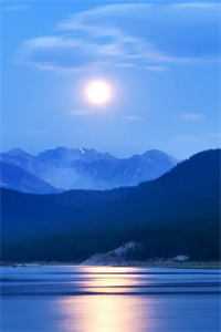 人间晚别意新上热文