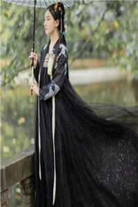 一夜风吹絮爆款热文