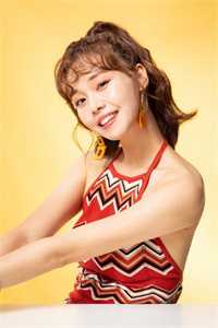 春已去，海棠将晚小说免费