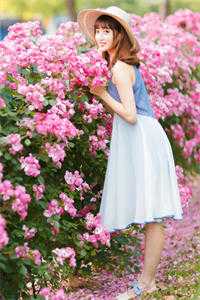 她曾偷藏爱意难止免费阅读