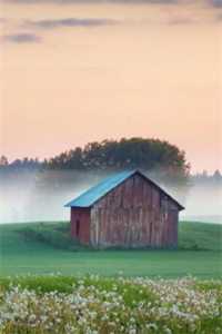 满朝吃瓜，皇后那张嘴又外放了萧祈拓跋昭后续+全文