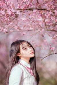 绿茶让太子休了我，但我是皇后啊柳虎柳娇娇全集