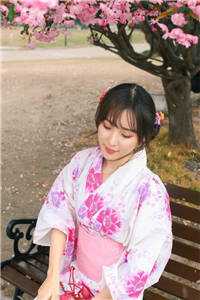 锦书难寄情难再最新章节列表