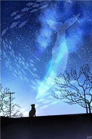 回首不见旧时月宋清漪顾璟泽结局+番外