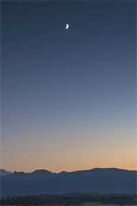 拯救恶毒女配姐姐，我反被大佬盯上好书