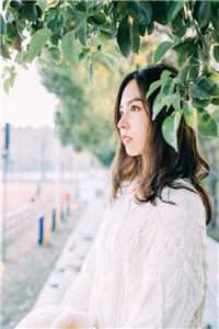 未寄出的青鸟诀别书前文+后续